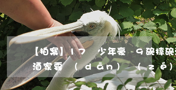 【拍案】17歲少年豪飲9碗“摔碗酒”后身亡，酒家要擔(dān)責(zé)嗎？